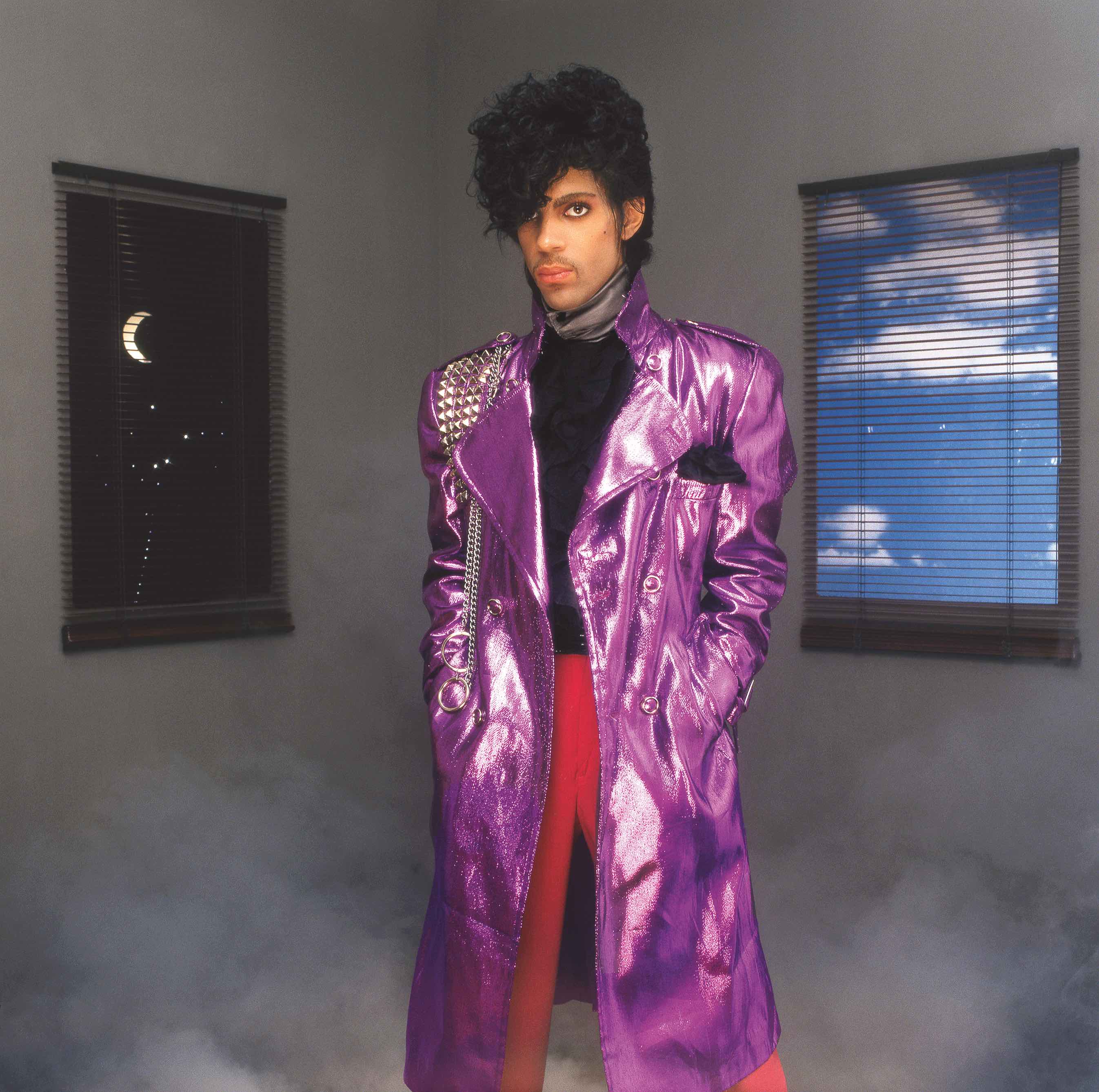 Prince The Revolution