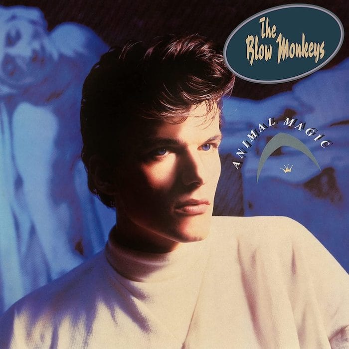 Blow Monkeys - Animal Magic album cover