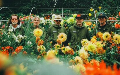 Super Furry Animals announce return