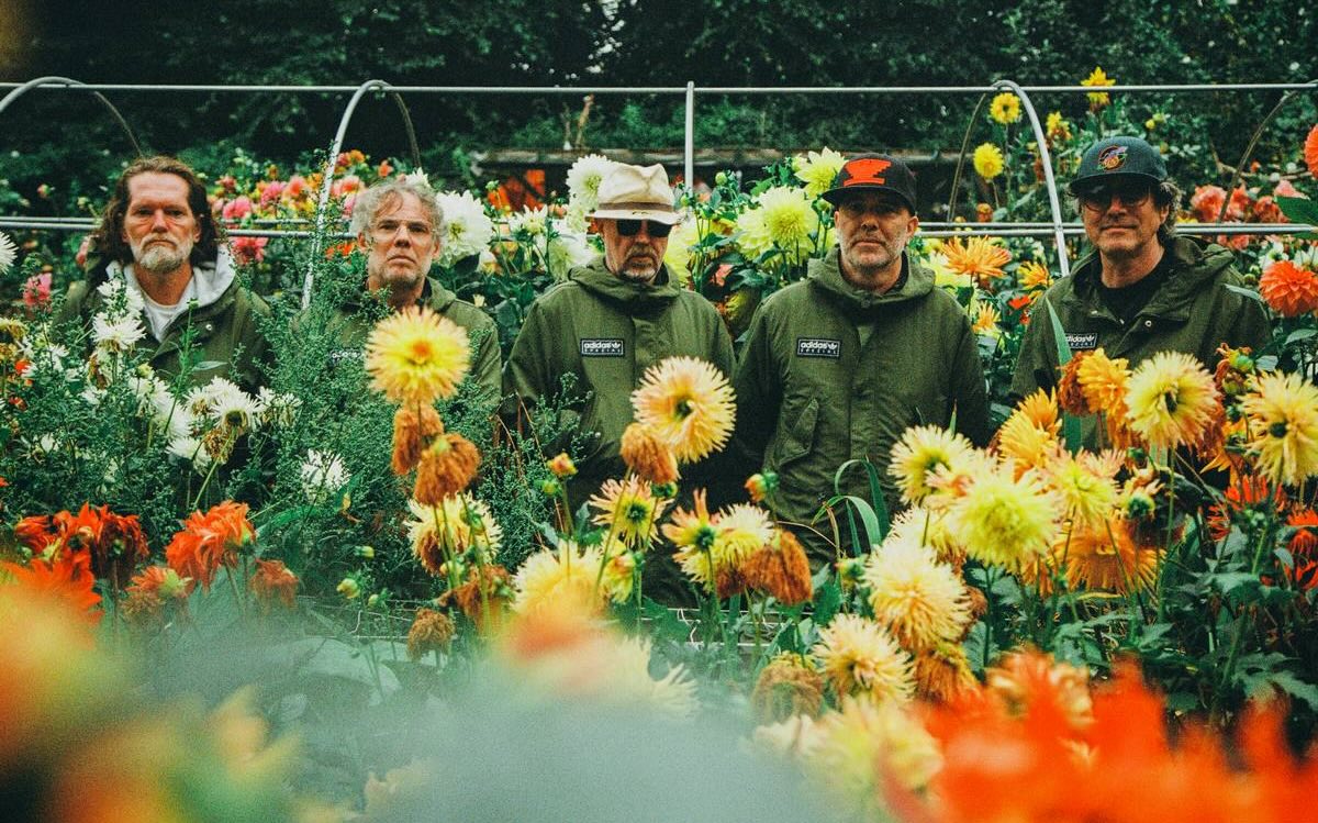 Super Furry Animals announce return